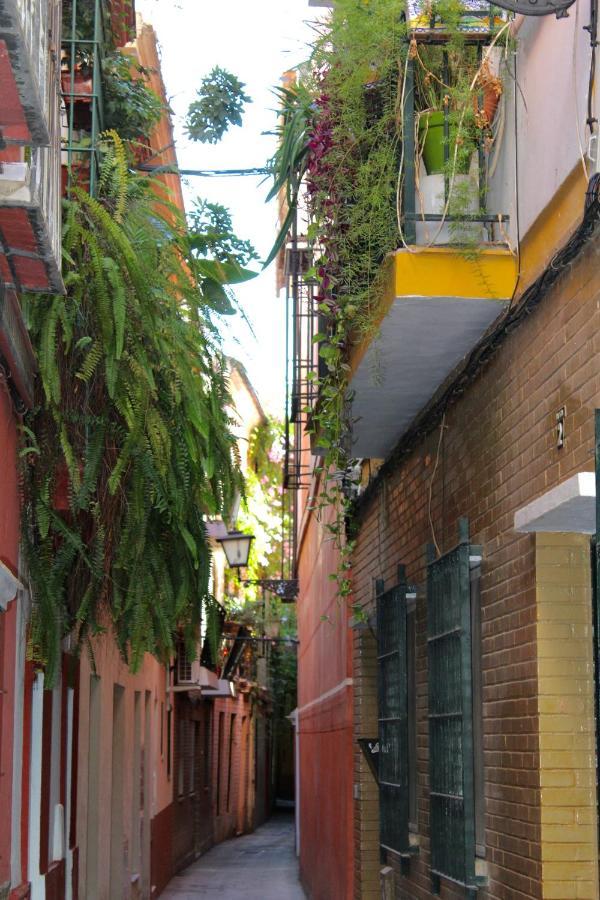 Green Street إشبيلية المظهر الخارجي الصورة